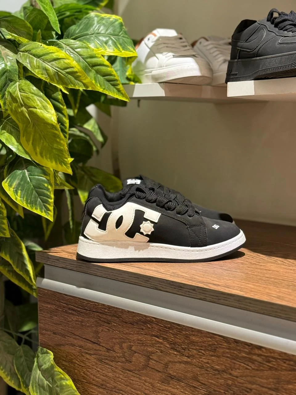 DC Black1